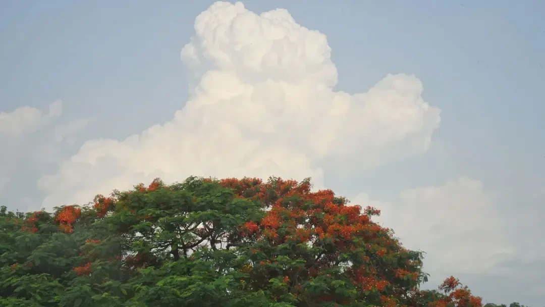 সপ্তাহজুড়ে মেঘ-বৃষ্টির খেলা : কমতে পারে তাপমাত্রা, বাড়তে পারে বৃষ্টি