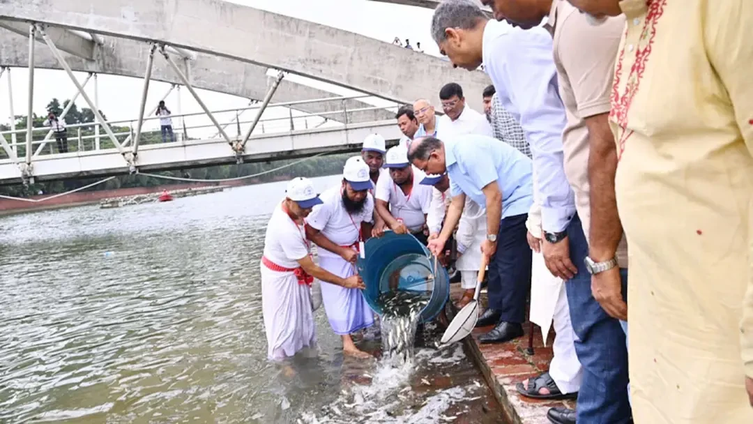 ক্রিসেন্ট লেকে প্রধানমন্ত্রীর পোনা অবমুক্তকরণে মরা মাছ, যা জানা গেল