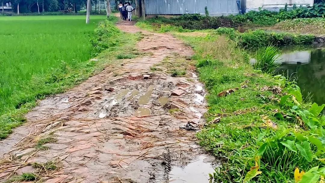 গর্ত-খানাখন্দে বেহাল সড়ক, দুর্ভোগে হোসেনপুরের কৃষক-শিক্ষার্থী
